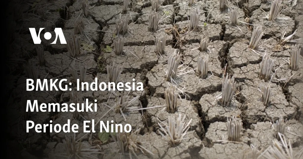 BMKG Pastikan Tahun 2026 Bebas Ancaman 'El Nino Godzilla' di Seluruh Indonesia
