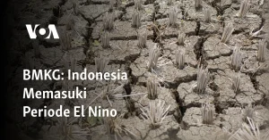 BMKG Pastikan Tahun 2026 Bebas Ancaman 'El Nino Godzilla' di Seluruh Indonesia