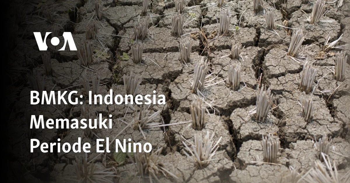 BMKG Pastikan Tahun 2026 Bebas Ancaman 'El Nino Godzilla' di Seluruh Indonesia