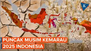 BMKG Prediksi Kemarau 2026 Lebih Panjang dan Kering, Pemerintah Diminta Siapkan Antisipasi Multi‑Sektor