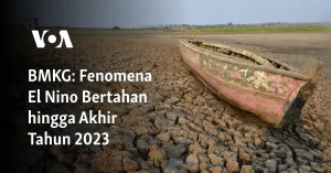 BMKG Tegaskan 2026 Bebas dari Ancaman 'El Nino Godzilla' – Apa Kata Ahli dan Pemerintah Daerah?