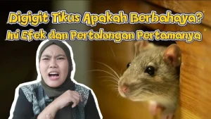 BRIN Peringatkan Ancaman Kembalinya Wabah Pes lewat Gigitan Pinjal dan Tikus di Indonesia