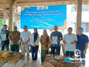 PG GMM Tegaskan Penyerapan Tebu Blora Tetap Berjalan Meski Hadapi Kendala Teknis